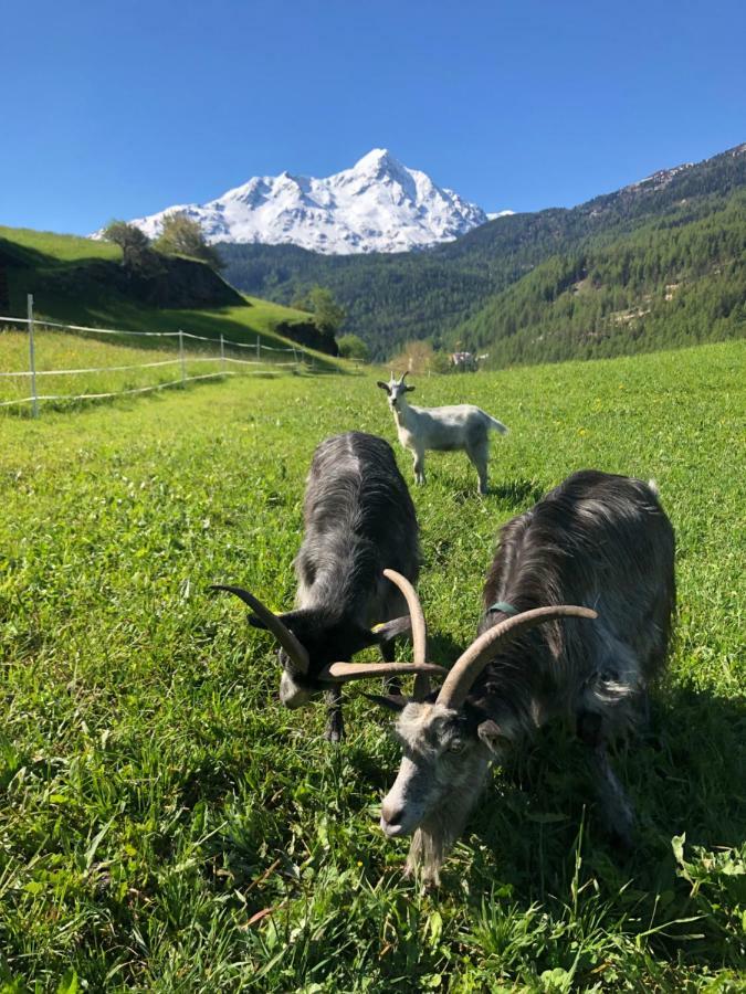 Apartamento Granbichlhof Sölden Exterior foto