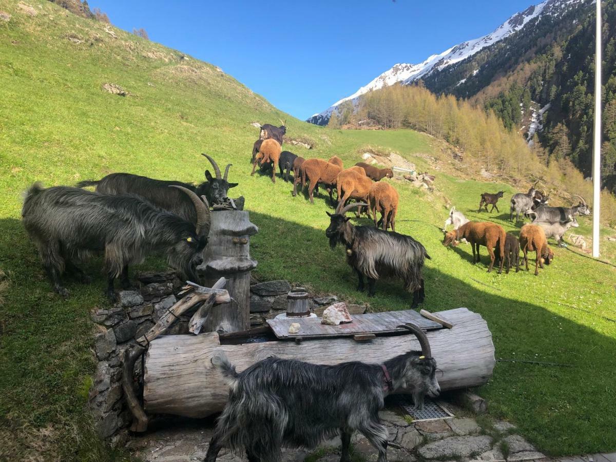 Apartamento Granbichlhof Sölden Exterior foto